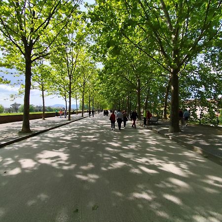 Casa Rosina + Box Per Auto 2 Bici 1,5Km Dalle Mura ルッカ エクステリア 写真