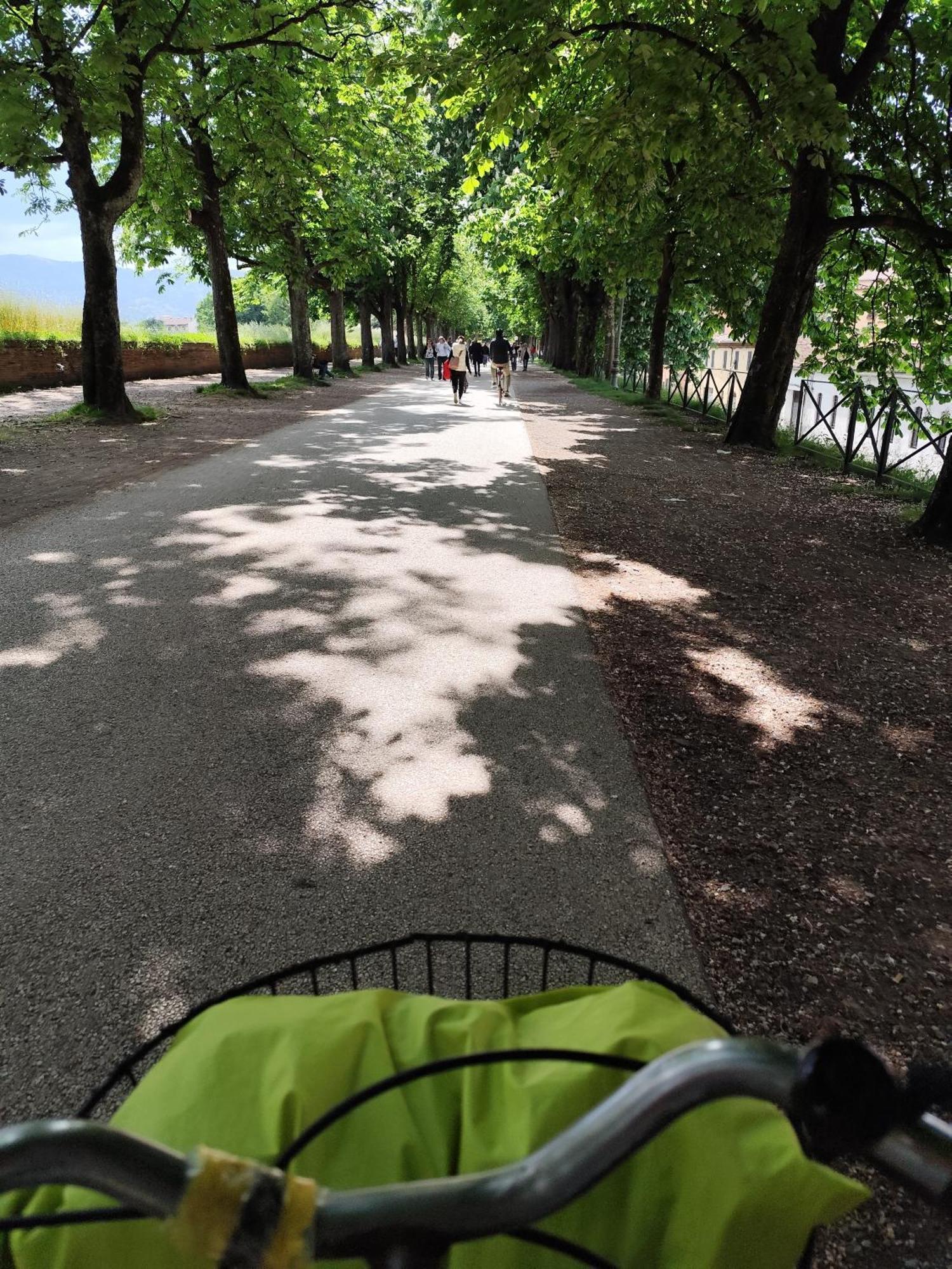 Casa Rosina + Box Per Auto 2 Bici 1,5Km Dalle Mura ルッカ エクステリア 写真